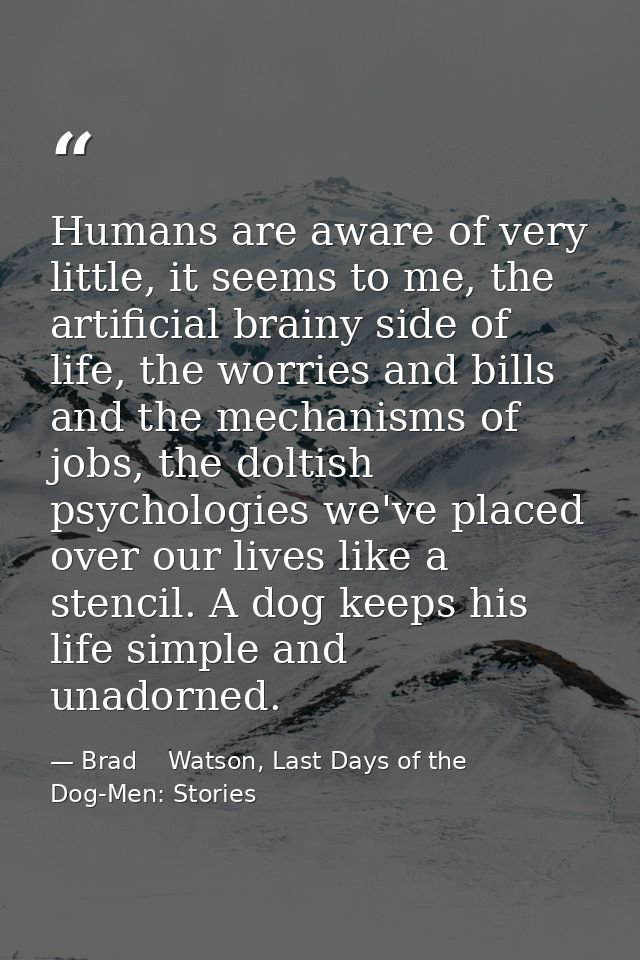 Humans are aware of very little, it seems to me, the artificial brainy side of life, the worries and bills and the mecha — Brad    Watson, Last Days of the Dog-Men: Stories