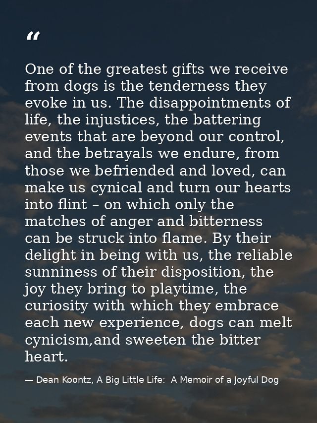 One of the greatest gifts we receive from dogs is the tenderness they evoke in us. The disappointments of life, the inju — Dean Koontz, A Big Little Life:  A Memoir of a Joyful Dog
