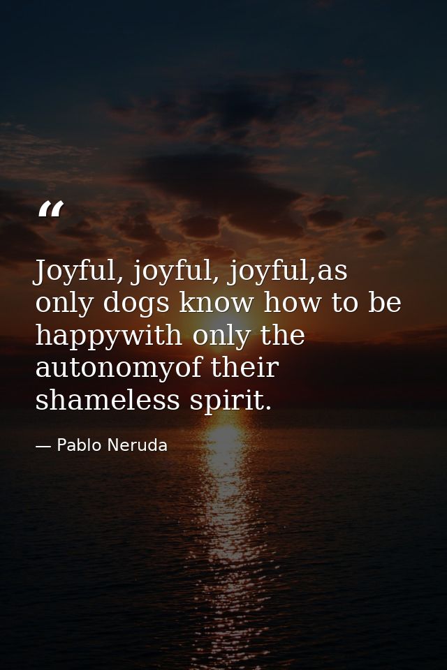 Joyful, joyful, joyful,as only dogs know how to be happywith only the autonomyof their shameless spirit. — Pablo Neruda