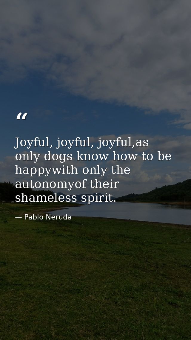 Joyful, joyful, joyful,as only dogs know how to be happywith only the autonomyof their shameless spirit. — Pablo Neruda