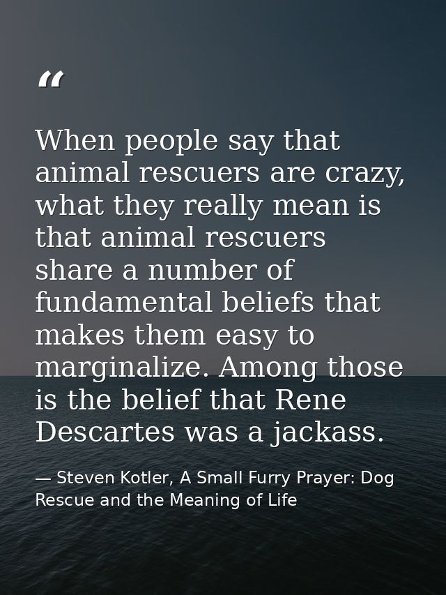 When people say that animal rescuers are crazy, what they really mean is that animal rescuers share a number of fundamen — Steven Kotler, A Small Furry Prayer: Dog Rescue and the Meaning of Life