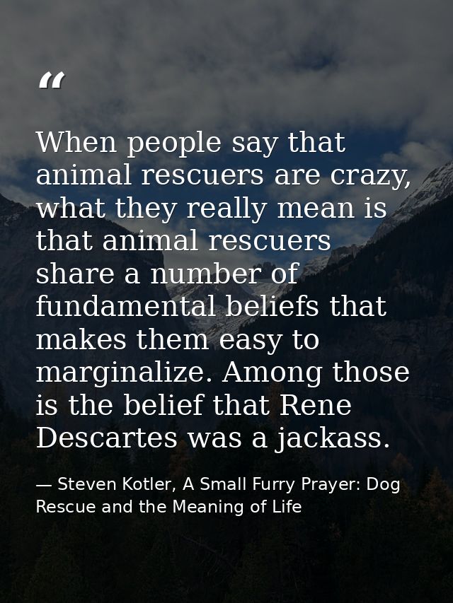 When people say that animal rescuers are crazy, what they really mean is that animal rescuers share a number of fundamen — Steven Kotler, A Small Furry Prayer: Dog Rescue and the Meaning of Life