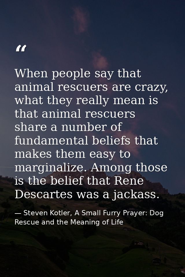 When people say that animal rescuers are crazy, what they really mean is that animal rescuers share a number of fundamen — Steven Kotler, A Small Furry Prayer: Dog Rescue and the Meaning of Life