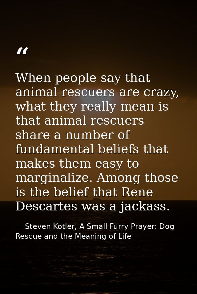 When people say that animal rescuers are crazy, what they really mean is that animal rescuers share a number of fundamen — Steven Kotler, A Small Furry Prayer: Dog Rescue and the Meaning of Life