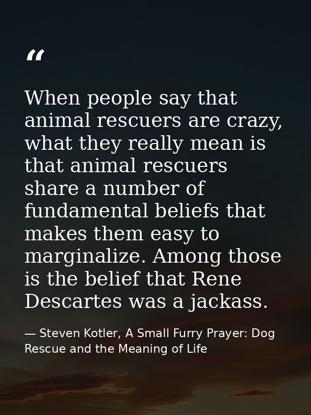 When people say that animal rescuers are crazy, what they really mean is that animal rescuers share a number of fundamen — Steven Kotler, A Small Furry Prayer: Dog Rescue and the Meaning of Life