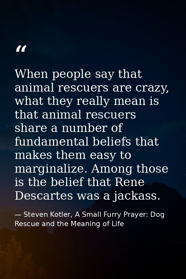 When people say that animal rescuers are crazy, what they really mean is that animal rescuers share a number of fundamen — Steven Kotler, A Small Furry Prayer: Dog Rescue and the Meaning of Life