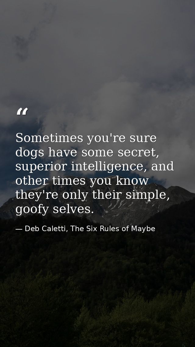 Sometimes you're sure dogs have some secret, superior intelligence, and other times you know they're only their simple,  — Deb Caletti, The Six Rules of Maybe