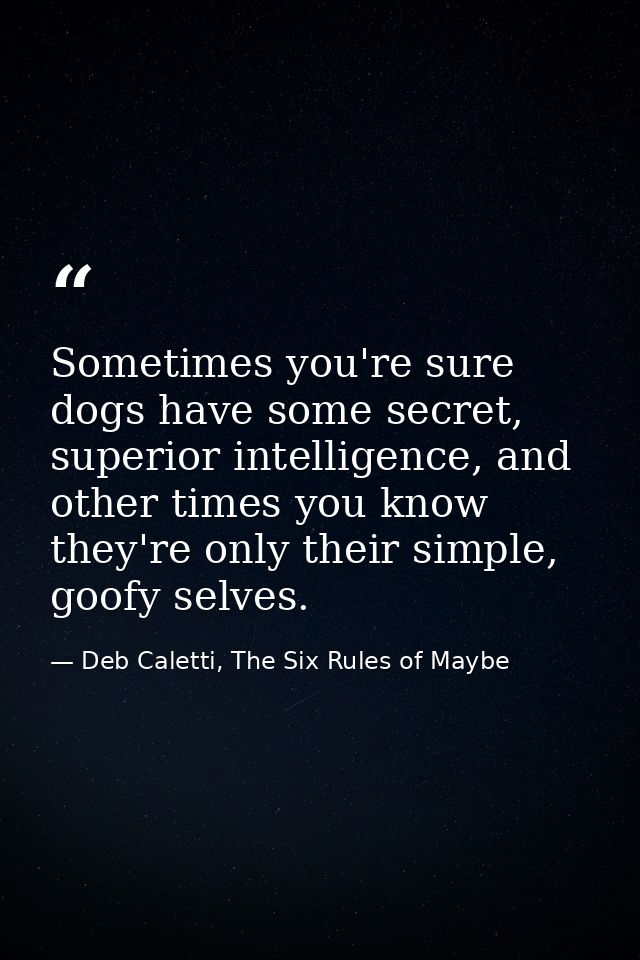 Sometimes you're sure dogs have some secret, superior intelligence, and other times you know they're only their simple,  — Deb Caletti, The Six Rules of Maybe