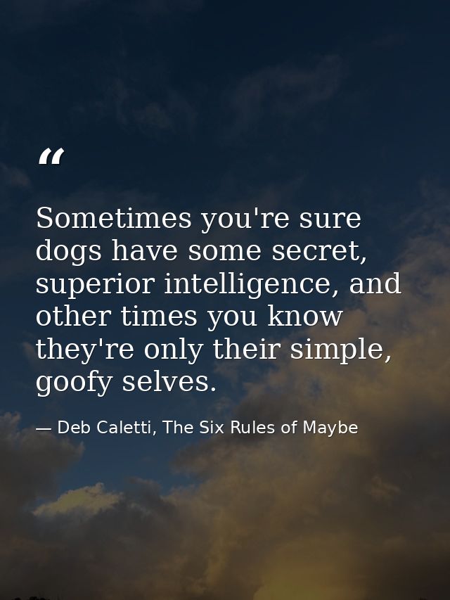 Sometimes you're sure dogs have some secret, superior intelligence, and other times you know they're only their simple,  — Deb Caletti, The Six Rules of Maybe