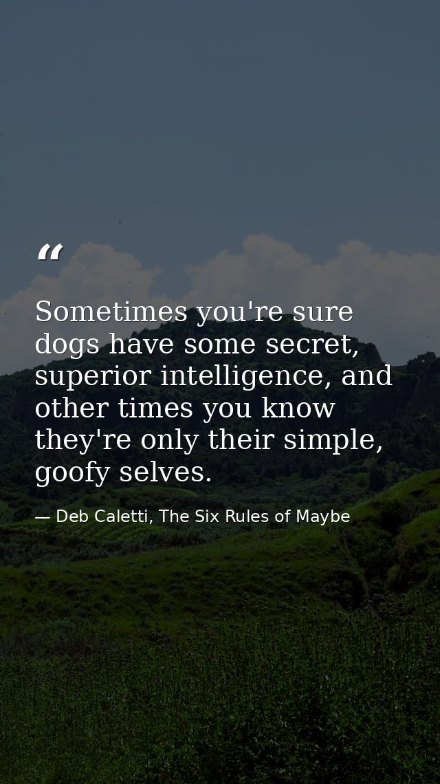 Sometimes you're sure dogs have some secret, superior intelligence, and other times you know they're only their simple,  — Deb Caletti, The Six Rules of Maybe
