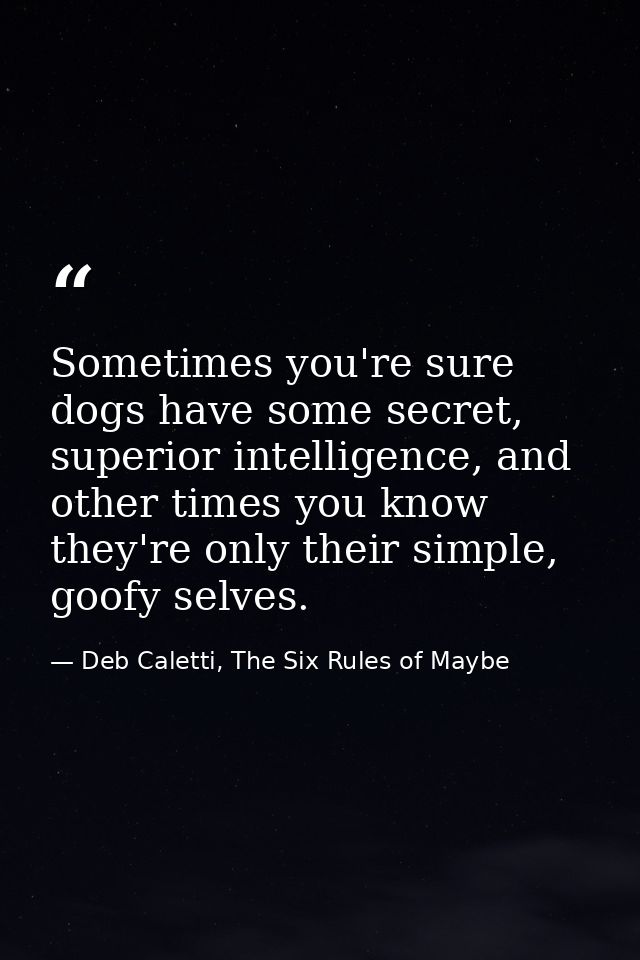 Sometimes you're sure dogs have some secret, superior intelligence, and other times you know they're only their simple,  — Deb Caletti, The Six Rules of Maybe