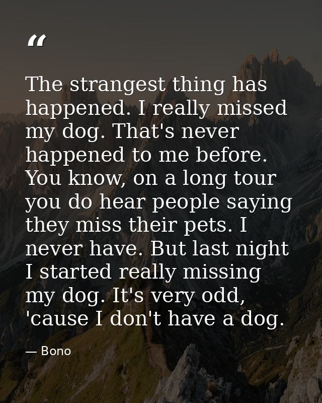 The strangest thing has happened. I really missed my dog. That's never happened to me before. You know, on a long tour y — Bono