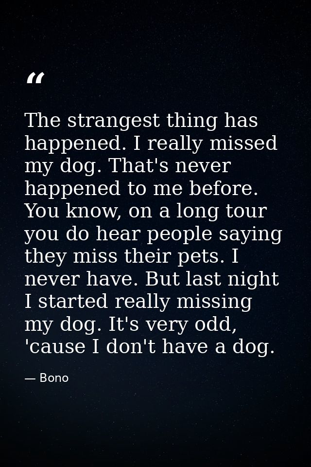 The strangest thing has happened. I really missed my dog. That's never happened to me before. You know, on a long tour y — Bono