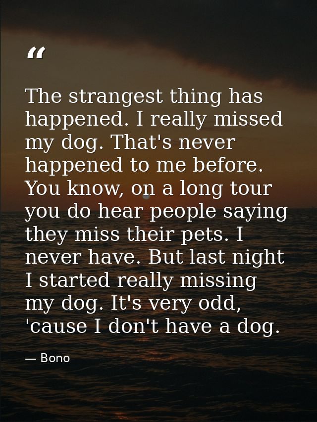 The strangest thing has happened. I really missed my dog. That's never happened to me before. You know, on a long tour y — Bono