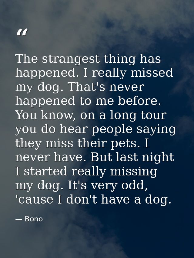 The strangest thing has happened. I really missed my dog. That's never happened to me before. You know, on a long tour y — Bono