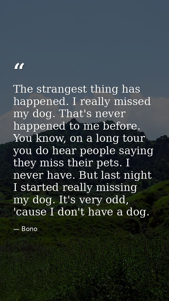 The strangest thing has happened. I really missed my dog. That's never happened to me before. You know, on a long tour y — Bono