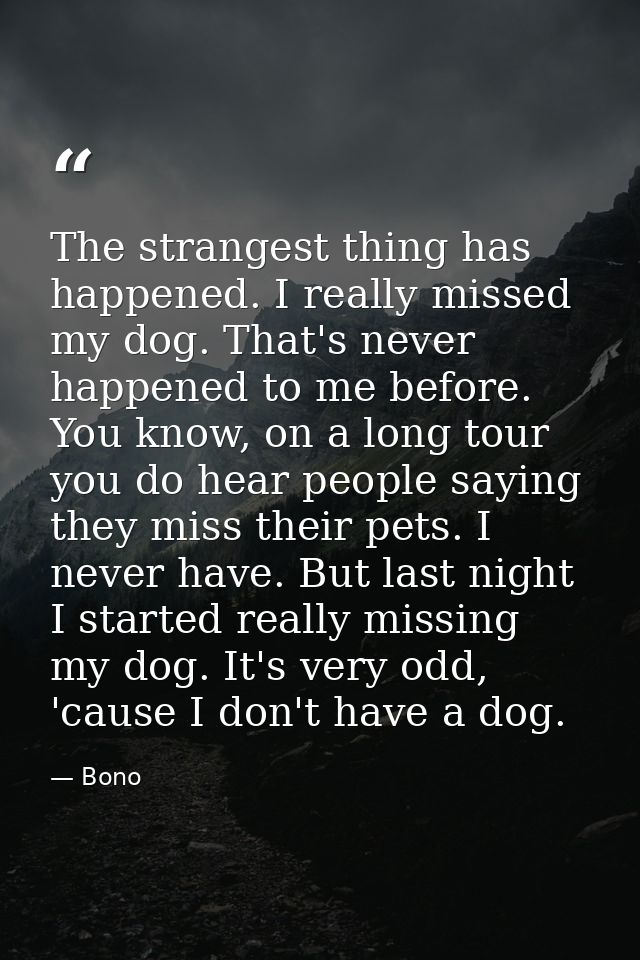 The strangest thing has happened. I really missed my dog. That's never happened to me before. You know, on a long tour y — Bono