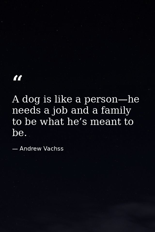 A dog is like a person—he needs a job and a family to be what he’s meant to be. — Andrew Vachss
