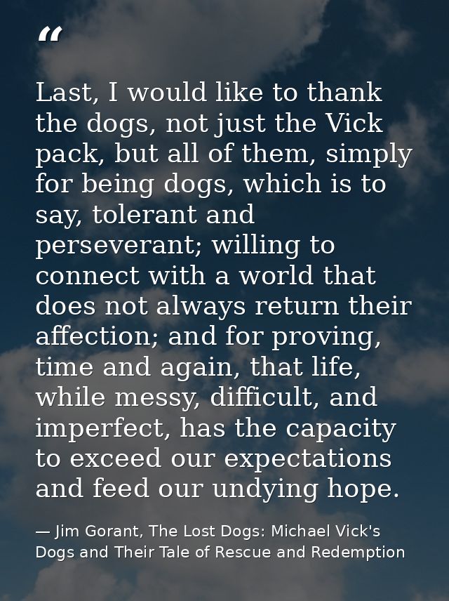Last, I would like to thank the dogs, not just the Vick pack, but all of them, simply for being dogs, which is to say, t — Jim Gorant, The Lost Dogs: Michael Vick's Dogs and Their Tale of Rescue and Redemption