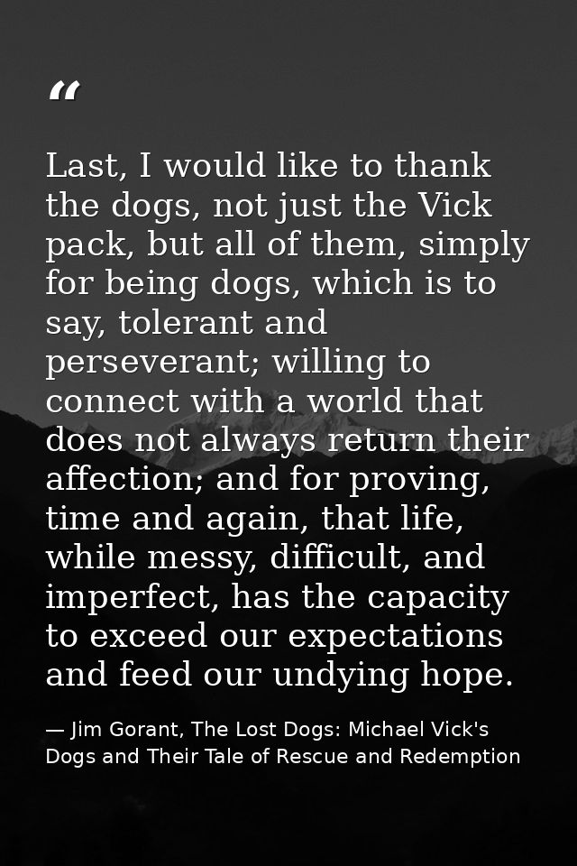 Last, I would like to thank the dogs, not just the Vick pack, but all of them, simply for being dogs, which is to say, t — Jim Gorant, The Lost Dogs: Michael Vick's Dogs and Their Tale of Rescue and Redemption