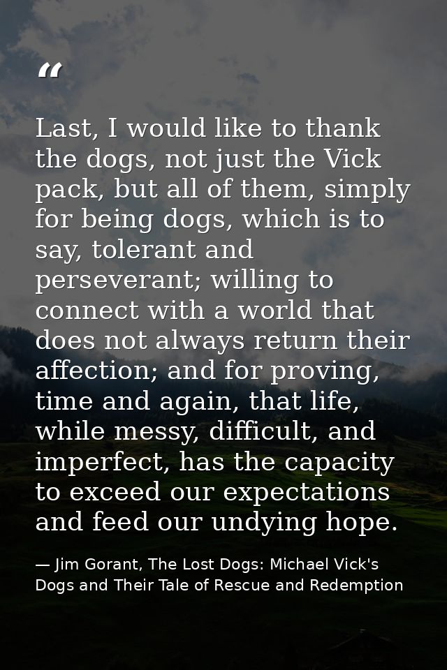 Last, I would like to thank the dogs, not just the Vick pack, but all of them, simply for being dogs, which is to say, t — Jim Gorant, The Lost Dogs: Michael Vick's Dogs and Their Tale of Rescue and Redemption