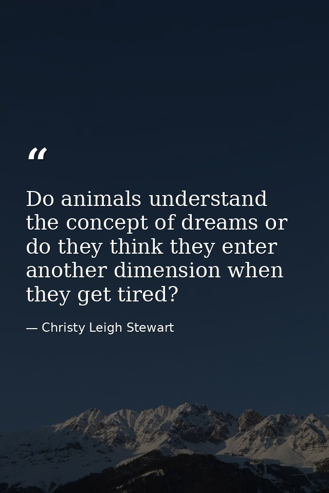 Do animals understand the concept of dreams or do they think they enter another dimension when they get tired? — Christy Leigh Stewart
