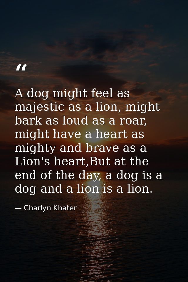 A dog might feel as majestic as a lion, might bark as loud as a roar, might have a heart as mighty and brave as a Lion's — Charlyn Khater