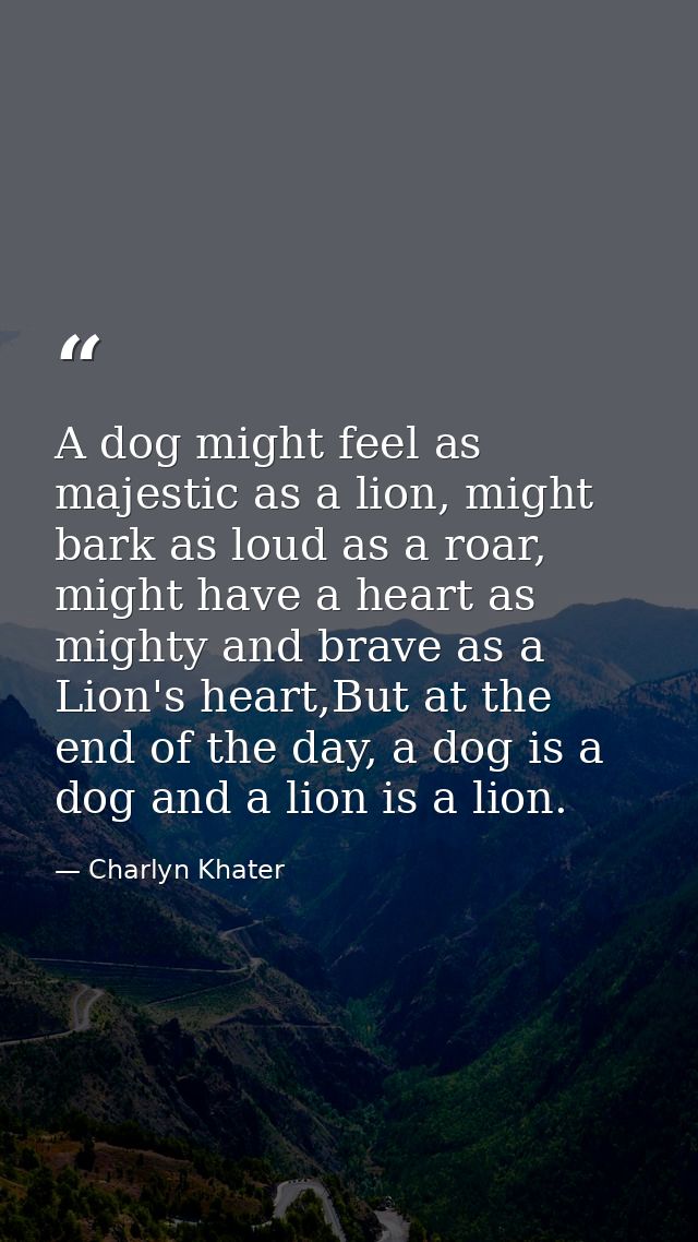 A dog might feel as majestic as a lion, might bark as loud as a roar, might have a heart as mighty and brave as a Lion's — Charlyn Khater