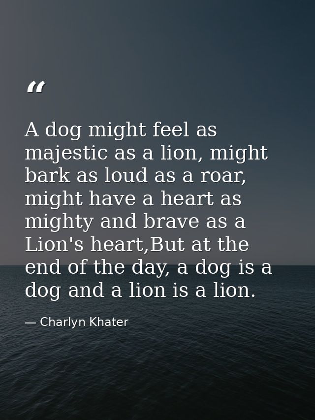 A dog might feel as majestic as a lion, might bark as loud as a roar, might have a heart as mighty and brave as a Lion's — Charlyn Khater