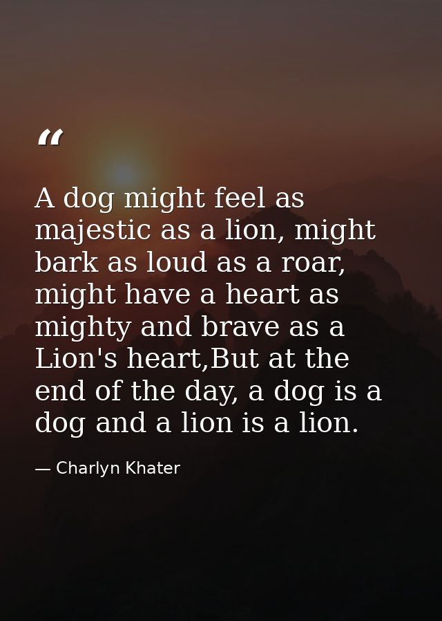 A dog might feel as majestic as a lion, might bark as loud as a roar, might have a heart as mighty and brave as a Lion's — Charlyn Khater