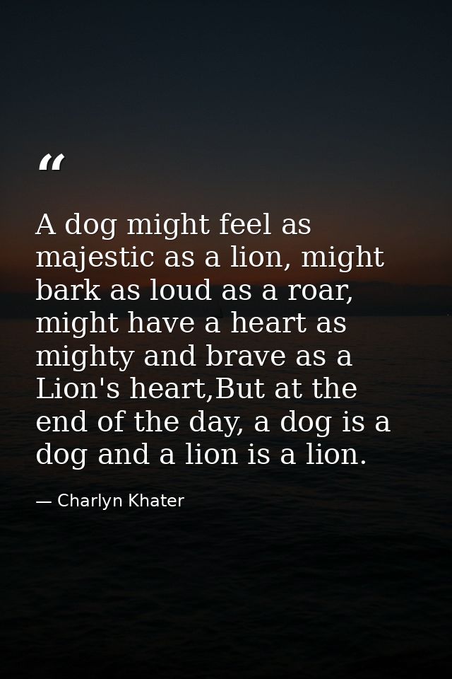 A dog might feel as majestic as a lion, might bark as loud as a roar, might have a heart as mighty and brave as a Lion's — Charlyn Khater