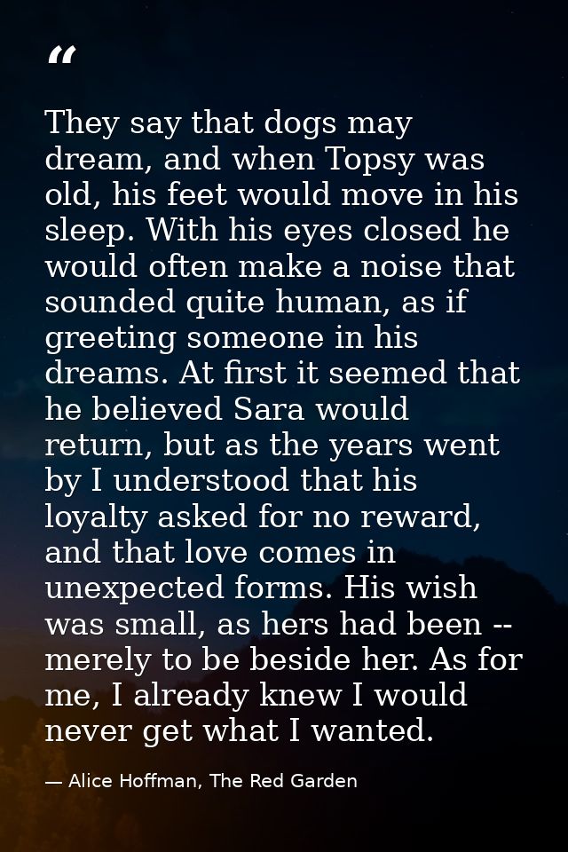 They say that dogs may dream, and when Topsy was old, his feet would move in his sleep. With his eyes closed he would of — Alice Hoffman, The Red Garden