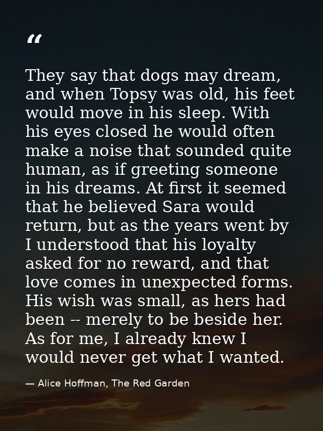 They say that dogs may dream, and when Topsy was old, his feet would move in his sleep. With his eyes closed he would of — Alice Hoffman, The Red Garden