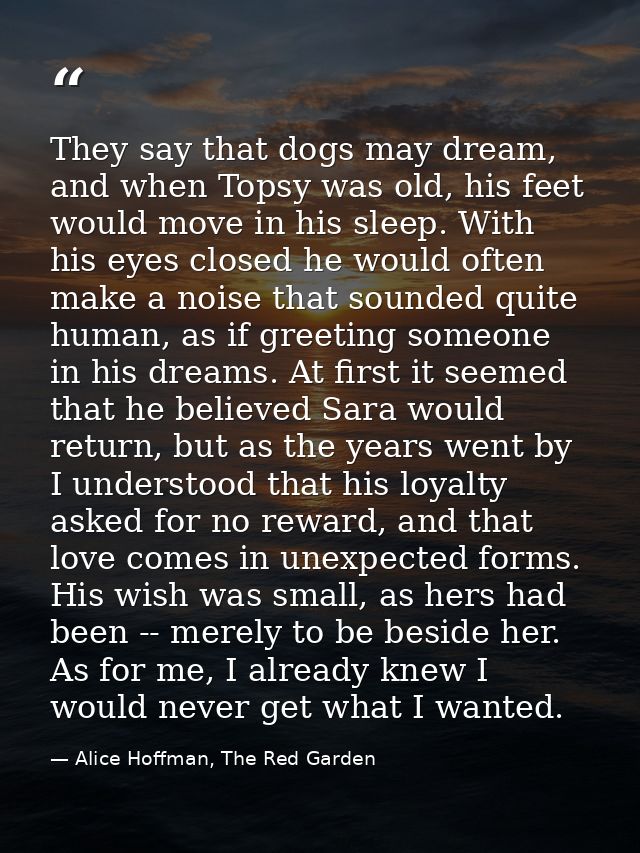 They say that dogs may dream, and when Topsy was old, his feet would move in his sleep. With his eyes closed he would of — Alice Hoffman, The Red Garden