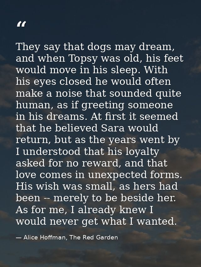 They say that dogs may dream, and when Topsy was old, his feet would move in his sleep. With his eyes closed he would of — Alice Hoffman, The Red Garden