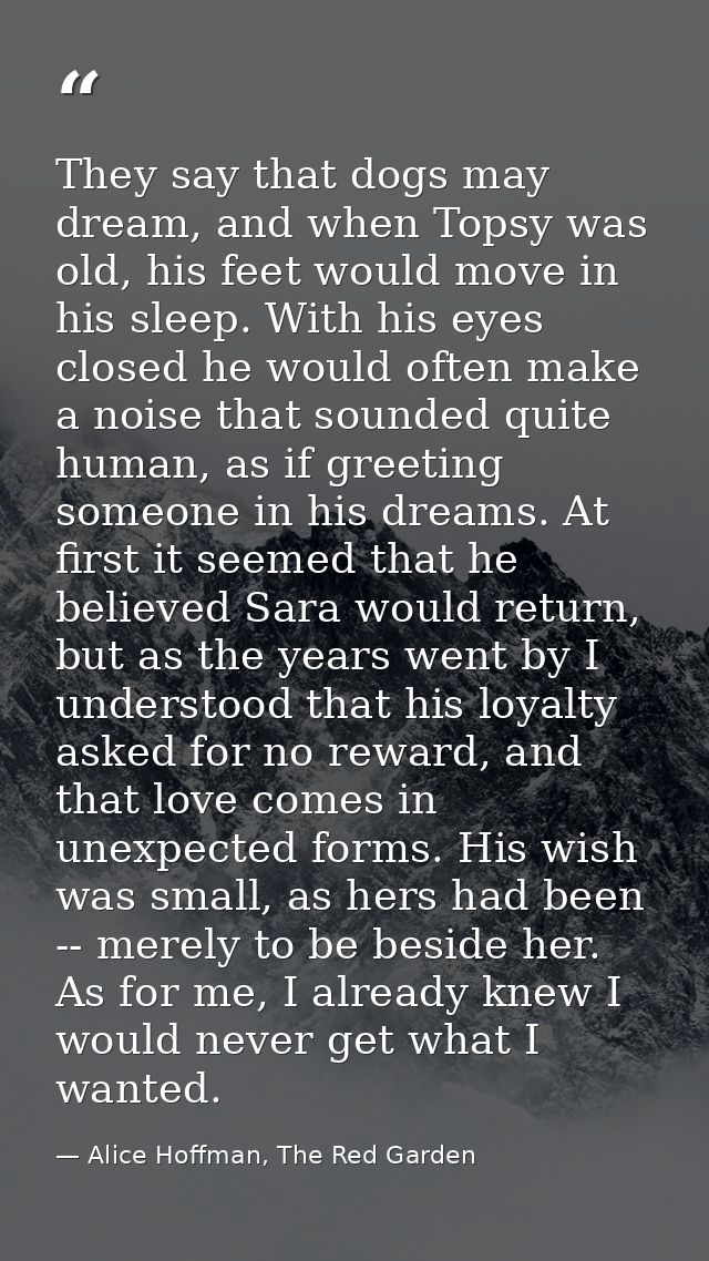 They say that dogs may dream, and when Topsy was old, his feet would move in his sleep. With his eyes closed he would of — Alice Hoffman, The Red Garden