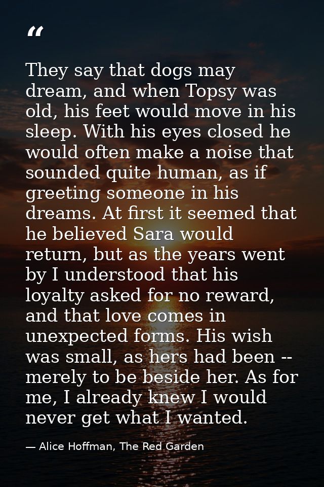They say that dogs may dream, and when Topsy was old, his feet would move in his sleep. With his eyes closed he would of — Alice Hoffman, The Red Garden