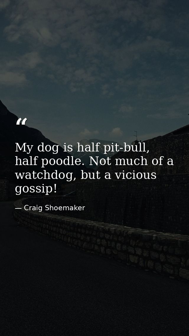 My dog is half pit-bull, half poodle. Not much of a watchdog, but a vicious gossip! — Craig Shoemaker