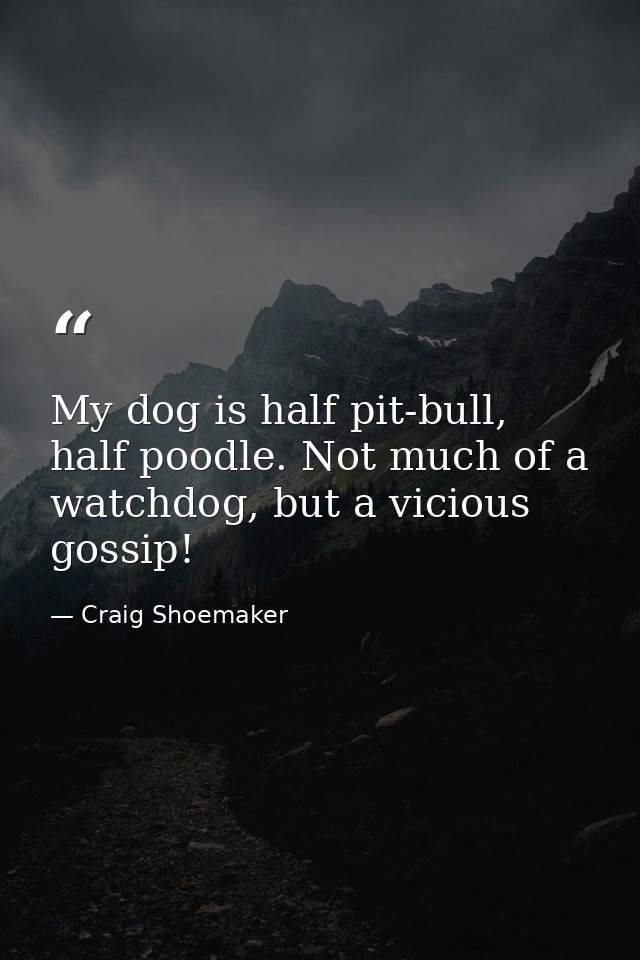 My dog is half pit-bull, half poodle. Not much of a watchdog, but a vicious gossip! — Craig Shoemaker