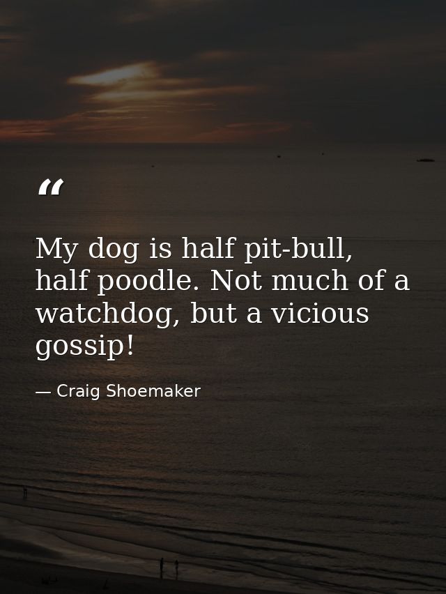 My dog is half pit-bull, half poodle. Not much of a watchdog, but a vicious gossip! — Craig Shoemaker