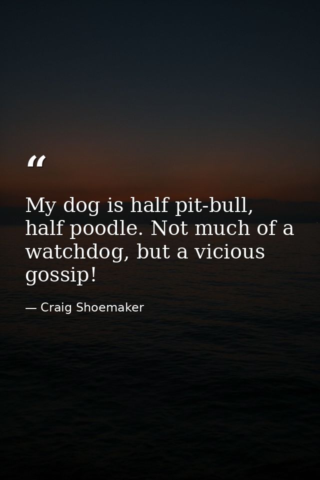My dog is half pit-bull, half poodle. Not much of a watchdog, but a vicious gossip! — Craig Shoemaker