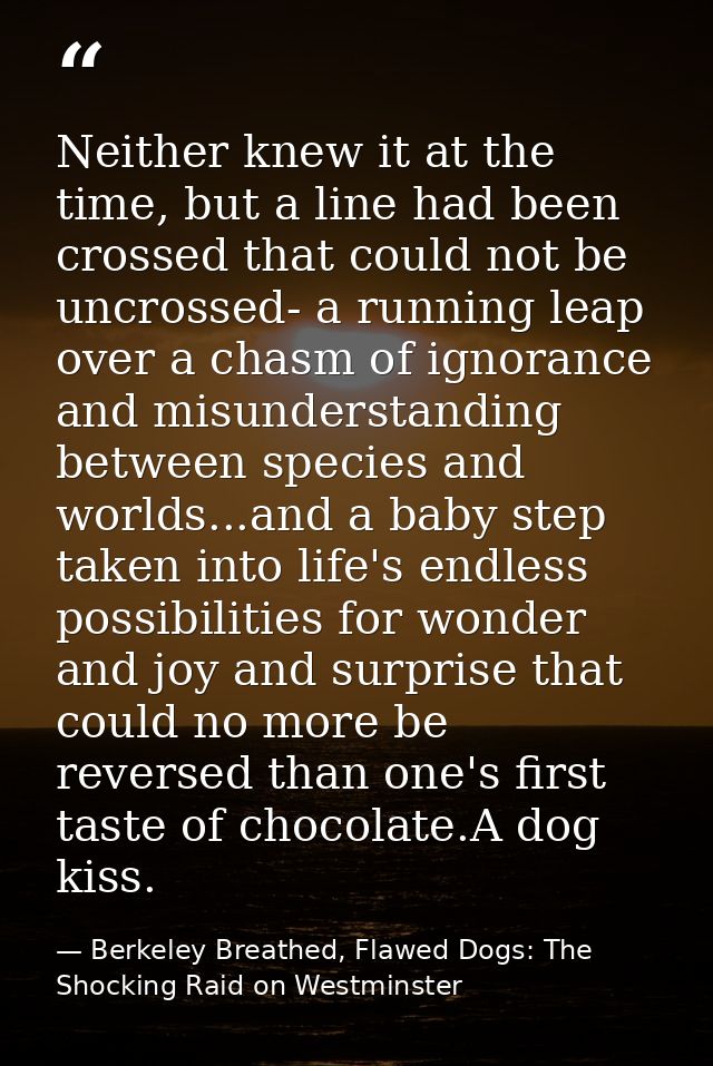 Neither knew it at the time, but a line had been crossed that could not be uncrossed- a running leap over a chasm of ign — Berkeley Breathed, Flawed Dogs: The Shocking Raid on Westminster