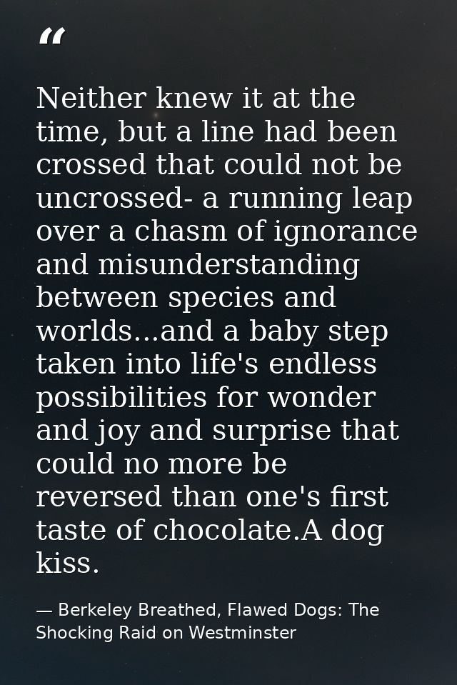 Neither knew it at the time, but a line had been crossed that could not be uncrossed- a running leap over a chasm of ign — Berkeley Breathed, Flawed Dogs: The Shocking Raid on Westminster