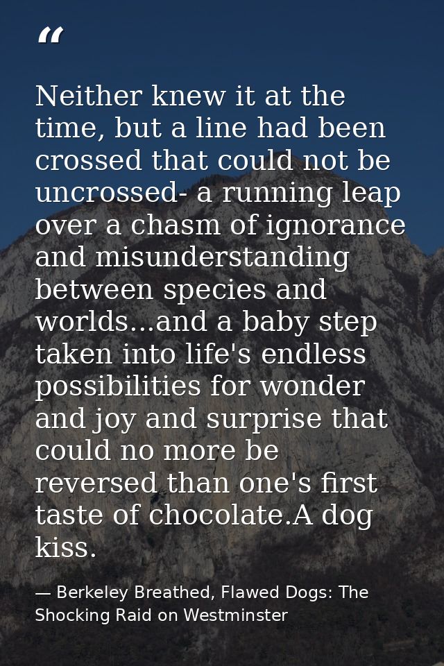 Neither knew it at the time, but a line had been crossed that could not be uncrossed- a running leap over a chasm of ign — Berkeley Breathed, Flawed Dogs: The Shocking Raid on Westminster