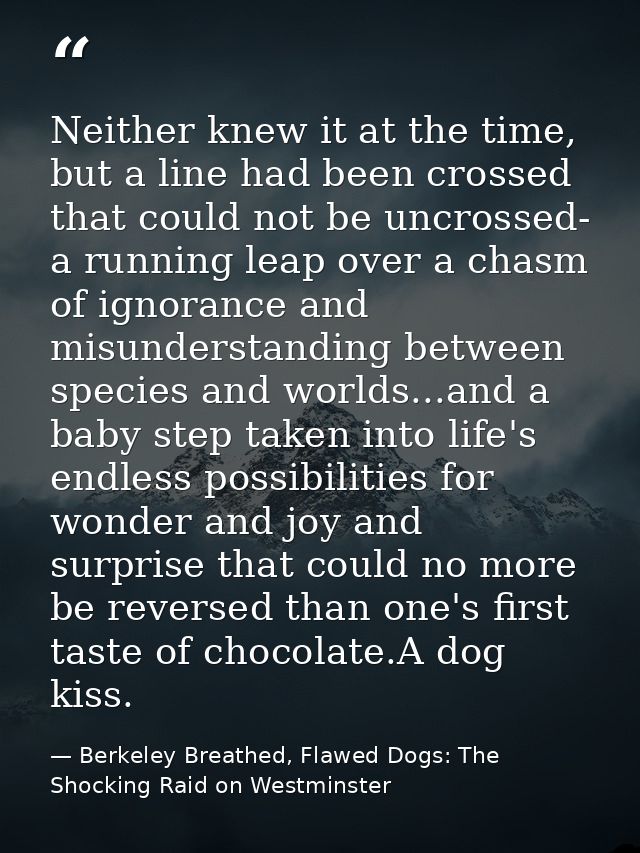 Neither knew it at the time, but a line had been crossed that could not be uncrossed- a running leap over a chasm of ign — Berkeley Breathed, Flawed Dogs: The Shocking Raid on Westminster