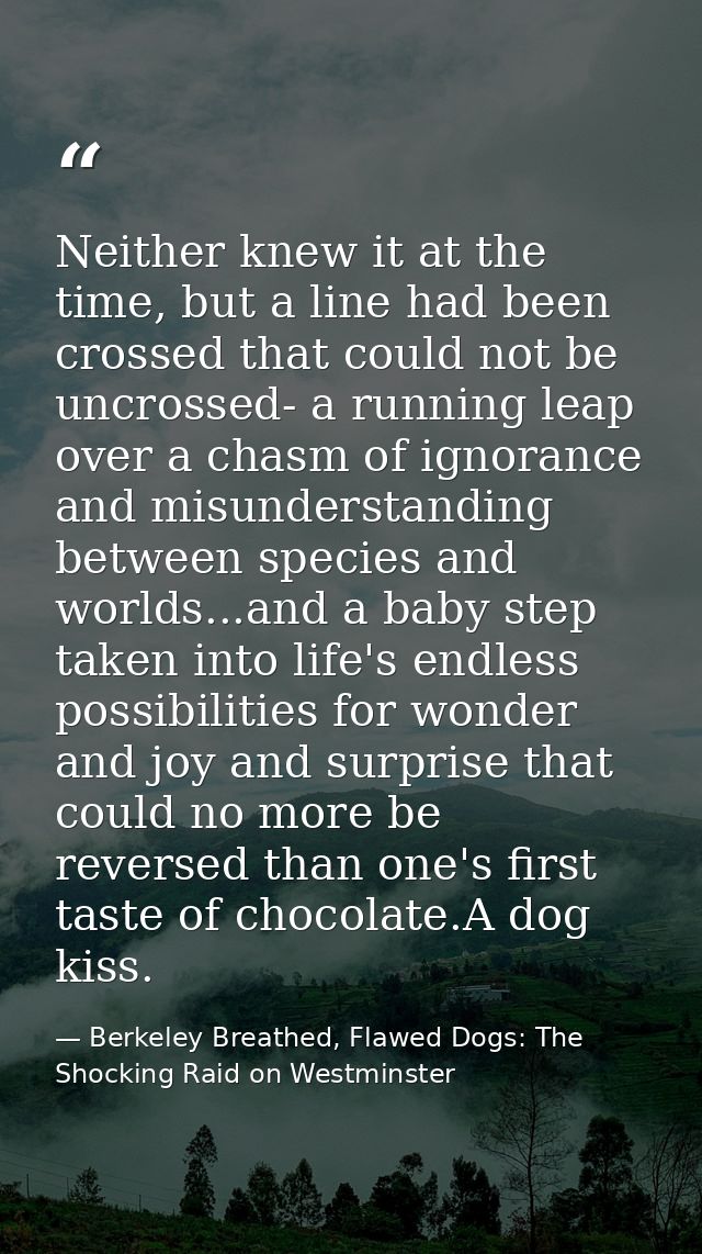 Neither knew it at the time, but a line had been crossed that could not be uncrossed- a running leap over a chasm of ign — Berkeley Breathed, Flawed Dogs: The Shocking Raid on Westminster
