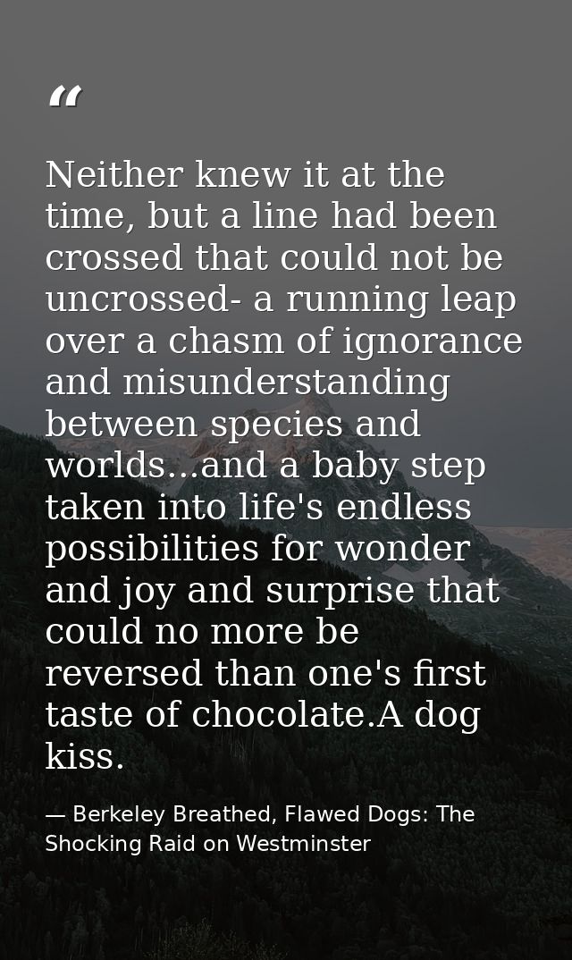 Neither knew it at the time, but a line had been crossed that could not be uncrossed- a running leap over a chasm of ign — Berkeley Breathed, Flawed Dogs: The Shocking Raid on Westminster