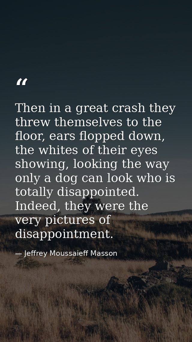 Then in a great crash they threw themselves to the floor, ears flopped down, the whites of their eyes showing, looking t — Jeffrey Moussaieff Masson