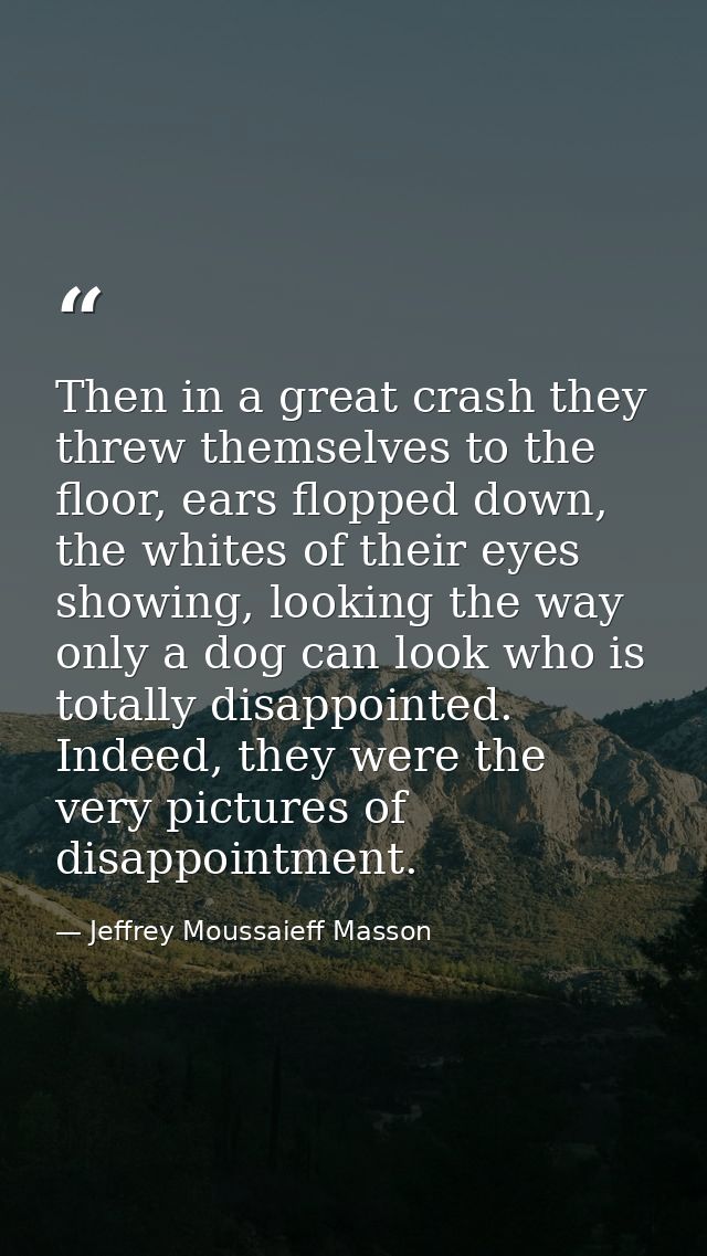 Then in a great crash they threw themselves to the floor, ears flopped down, the whites of their eyes showing, looking t — Jeffrey Moussaieff Masson