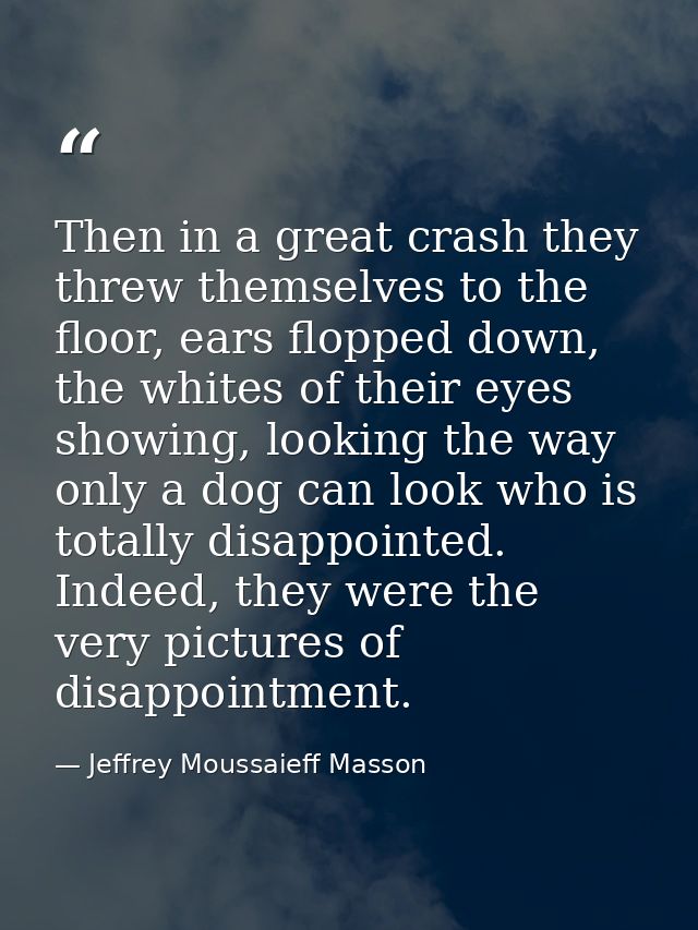 Then in a great crash they threw themselves to the floor, ears flopped down, the whites of their eyes showing, looking t — Jeffrey Moussaieff Masson